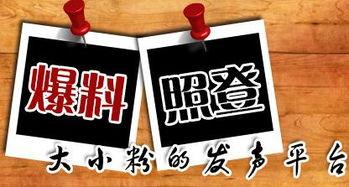 双峰新闻爆料,揭秘双峰县最新热点事件,双峰县双峰镇发生惊人一幕 第1张 双峰新闻爆料,揭秘双峰县最新热点事件,双峰县双峰镇发生惊人一幕 第1张